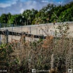 usa,us,motor,show,festival,montlhery,autodrome,V8,big,bloc,cobra,mustang,corvette usa,us,motor,show,festival,montlhery,autodrome,V8,big,bloc,cobra,mustang,corvette