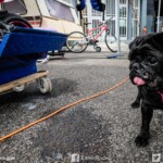 trophee,robert,doron,monster,race,senior,1000,600,rookie,challenge,women,pmr,Cup,bridgestone,coupe,sportwin,circuit,carole,ffm trophee,robert,doron,monster,race,senior,1000,600,rookie,challenge,women,pmr,Cup,bridgestone,coupe,sportwin,circuit,carole,ffm