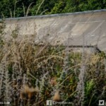 usa,us,motor,show,festival,montlhery,autodrome,V8,big,bloc,cobra,mustang,corvette usa,us,motor,show,festival,montlhery,autodrome,V8,big,bloc,cobra,mustang,corvette