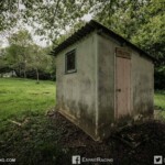 collectionneurs,coeur,passion,don,organes,schmaltz,Ragnotti,Alpine collectionneurs,coeur,passion,don,organes,schmaltz,Ragnotti,Alpine